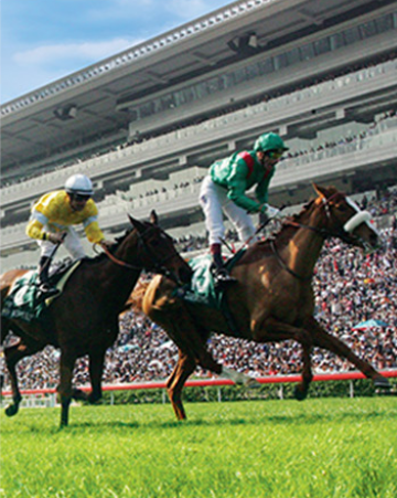 horse racing online betting