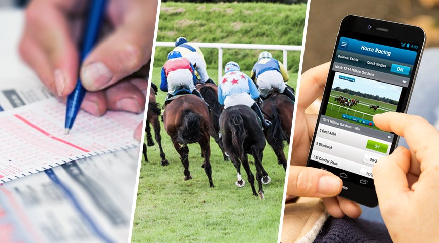 5 Tips to Increase Your Skills for Horse Racing Betting Strategy!