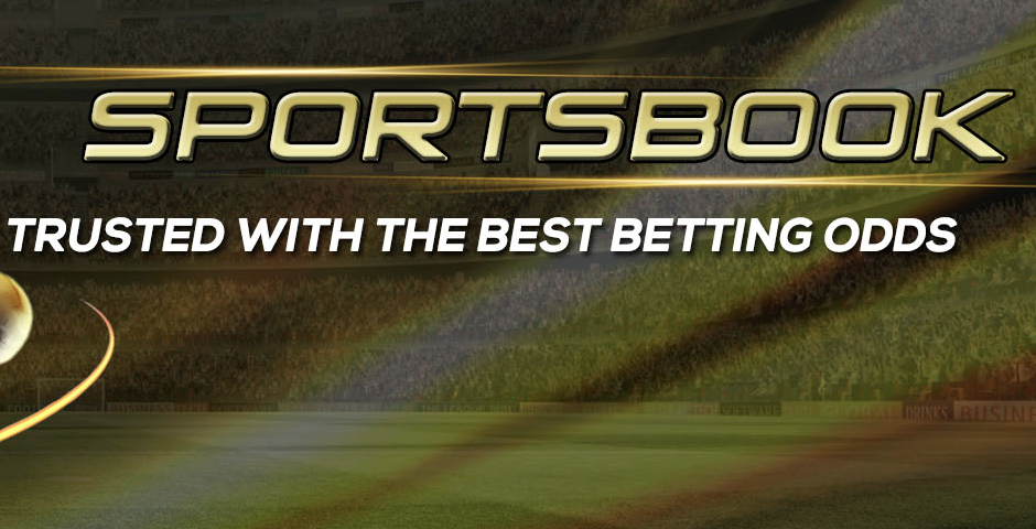 8 Most Popular Sports to Bet On in The World