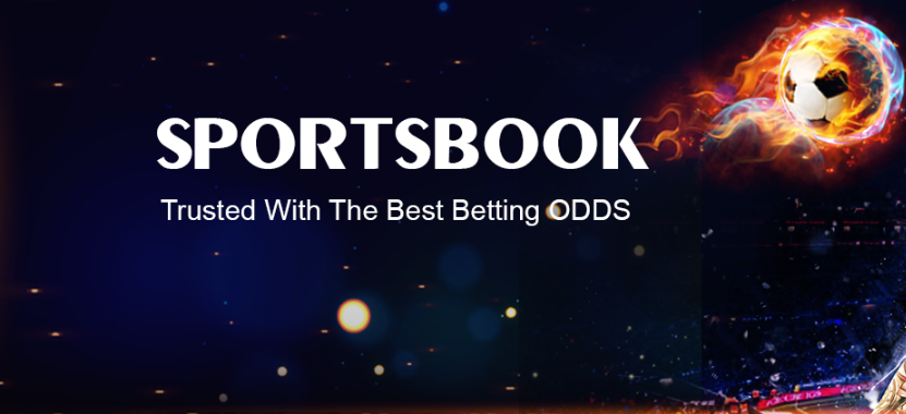 sports betting business