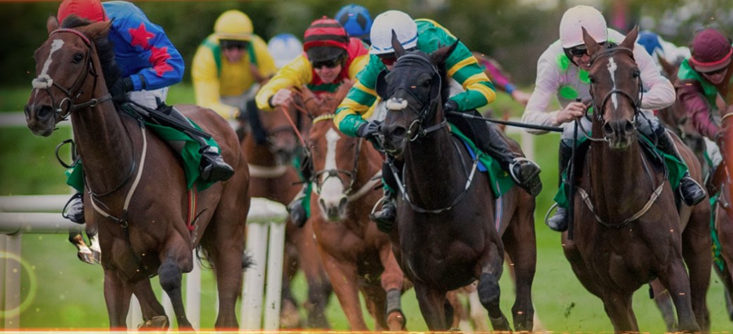 Tips on Betting on Horse Racing - How to Approach the Sport of Kings