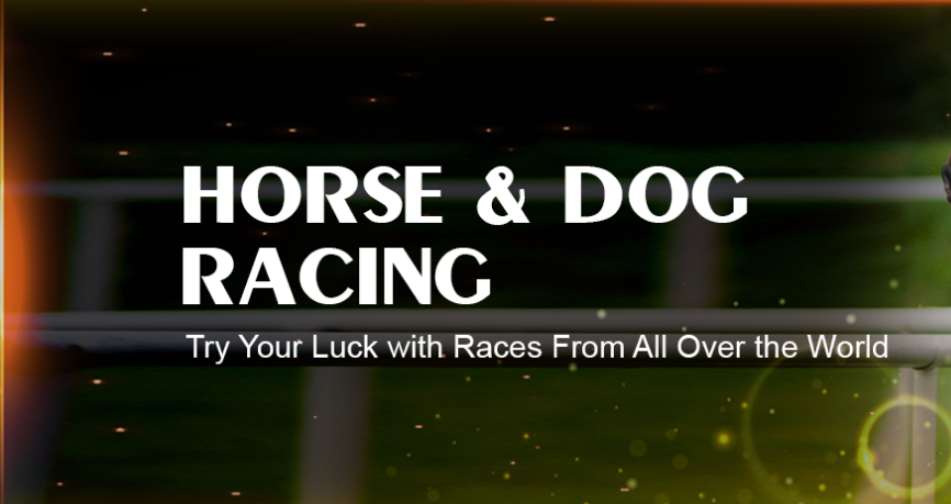 Dog and Horse Racing Betting 