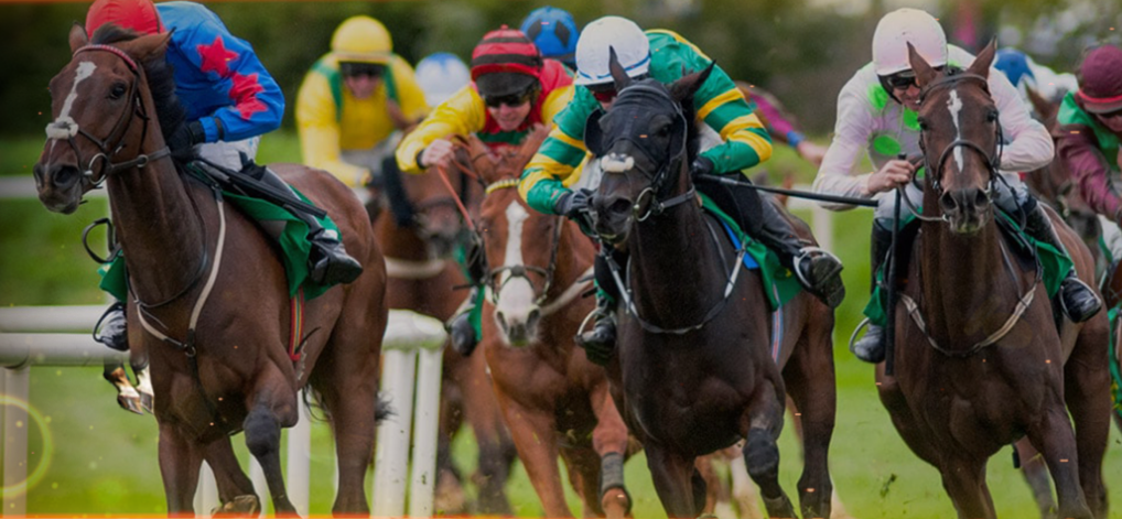 How to Bet on Horse Races to Maximize Your Winnings