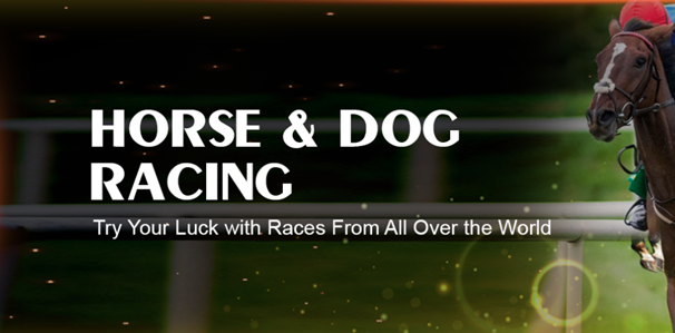 Dog and Horse Racing Betting