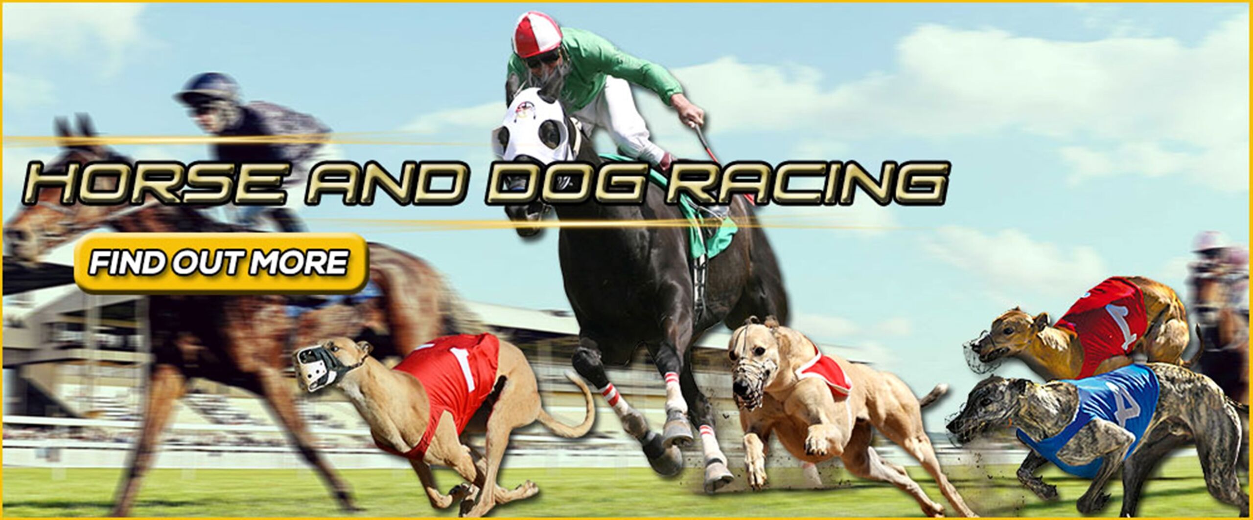 The benefits of betting on dog and horse racing online