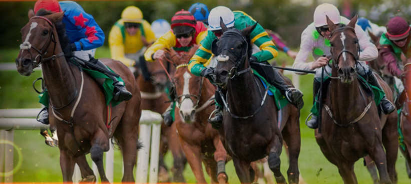 Online Horse Racing Betting 