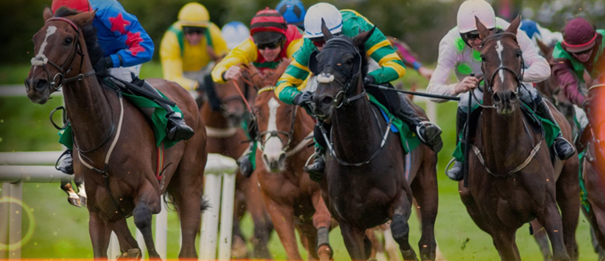 horse racing betting Singapore