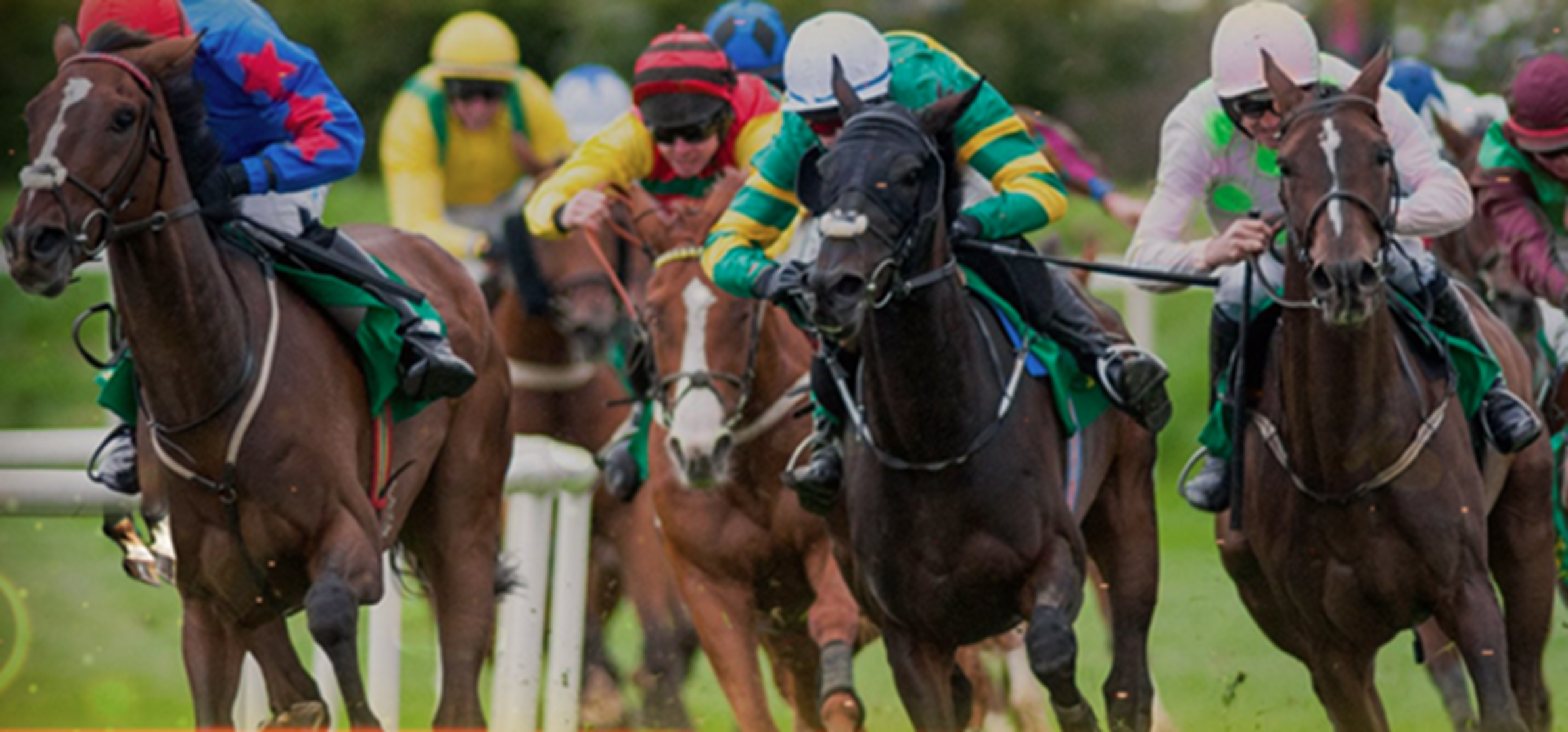 Singapore Horse Racing Betting Site