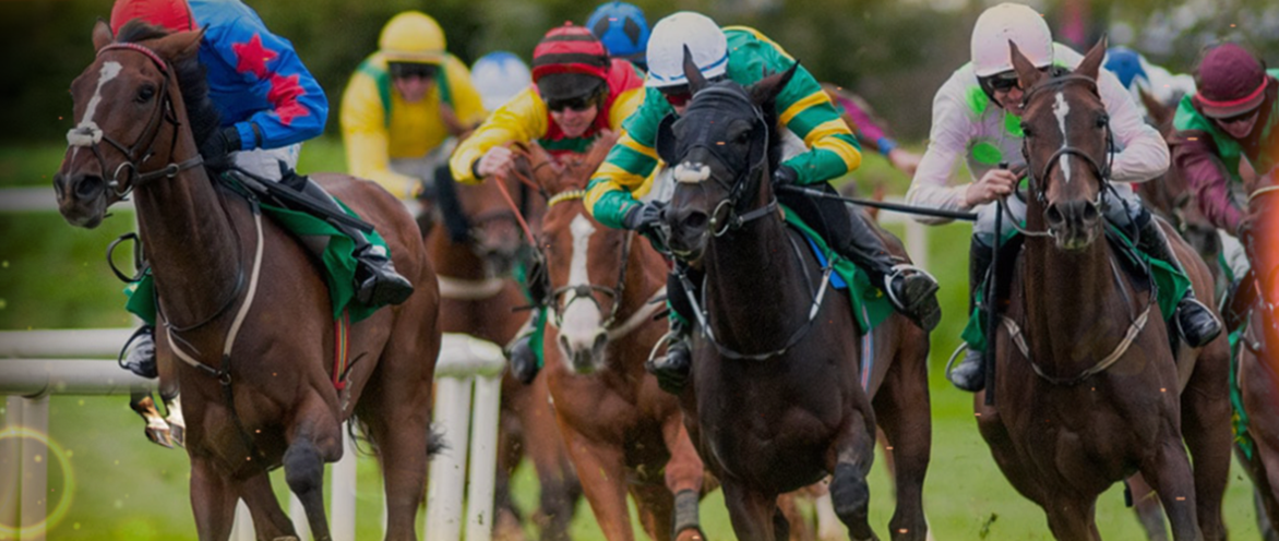 Winning Strategies And Tips For Singapore Pools Horse Racing