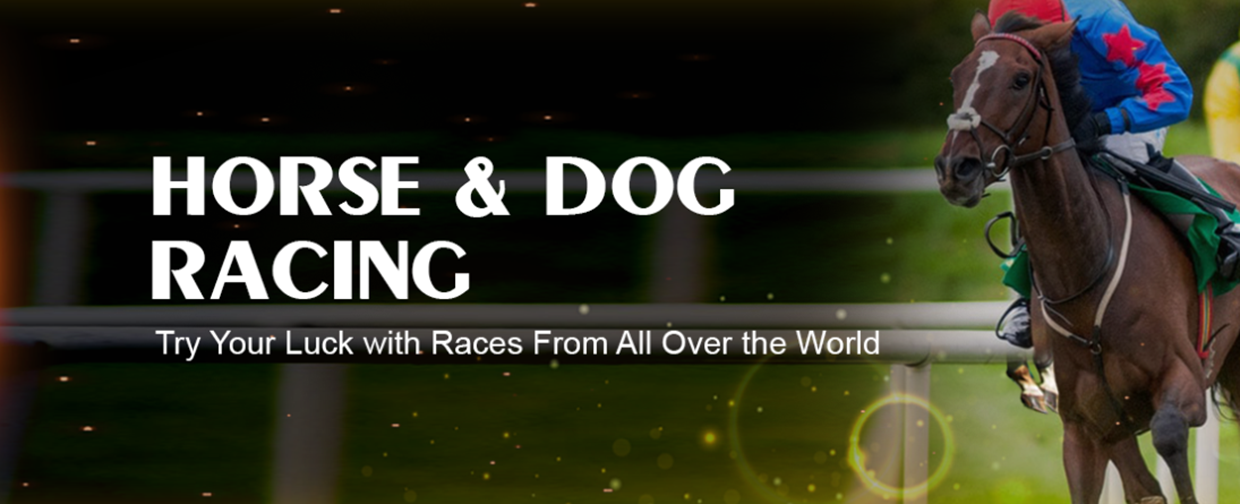 Dog and Horse Racing Betting Singapore