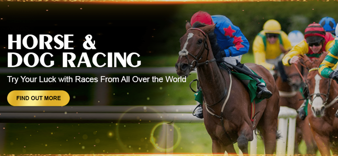 1 Horse Racing Betting Odds Singapore-min