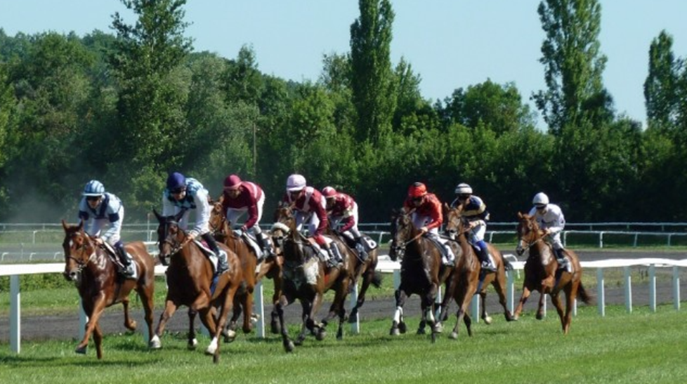 Online Ezgo123 Horse Racing Betting