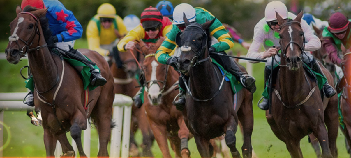 How to Bet on Horse Racing: A Step-by-Step Guide