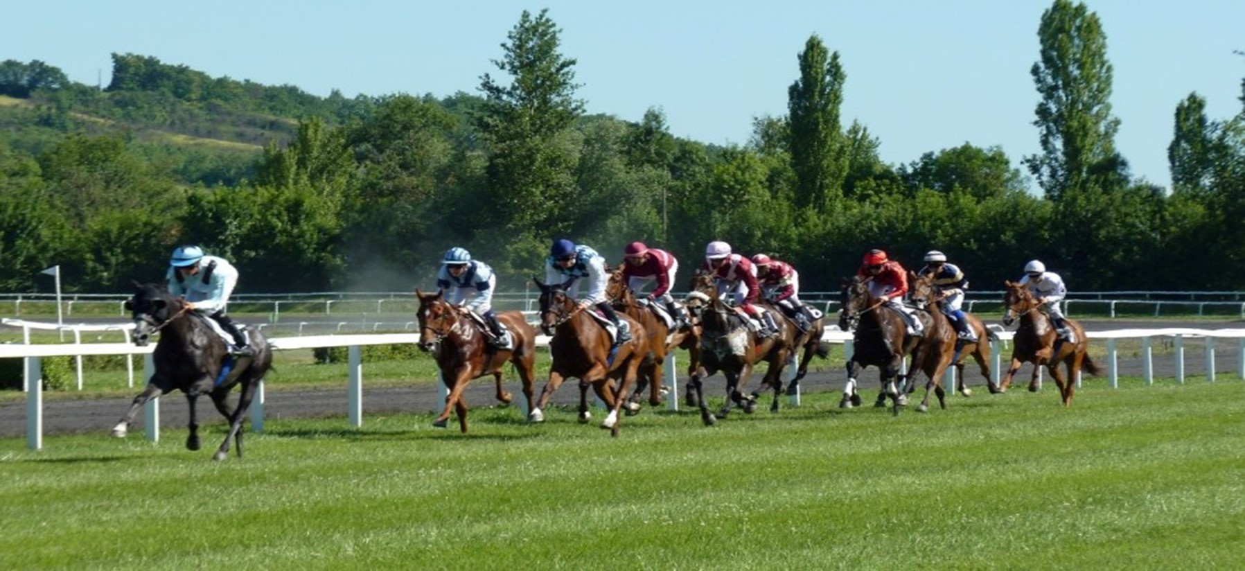 Betting on Speed: Online Horse Racing Odds and Strategies