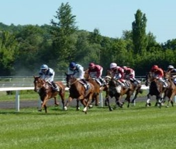 Horse Racing Online Betting Singapore