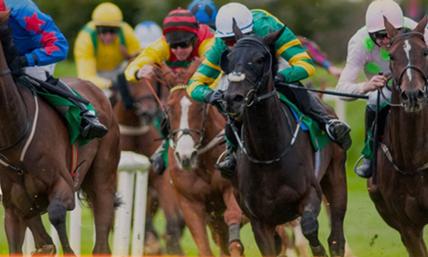 Unbridled Thrills: Premium Horse Racing Experience Online in Singapore 2024
