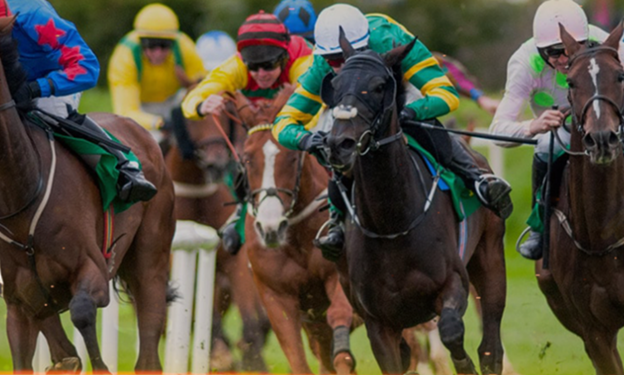 Betting on the Races: Strategies for Success in Singapore Horse Racing