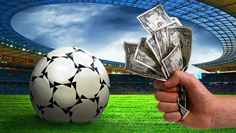 Riding the Odds: A Beginner's Guide to Successful Sports Betting